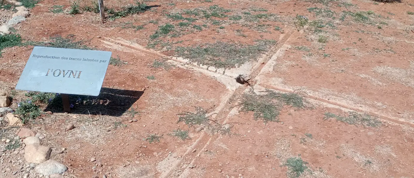The reproduction of the trace at the site